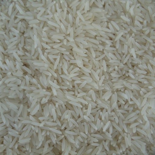 برنج فجر نوک سوزنی